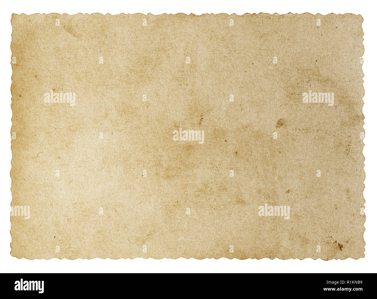 Vintage blank old black and white photo isolated on white background Stock Photo