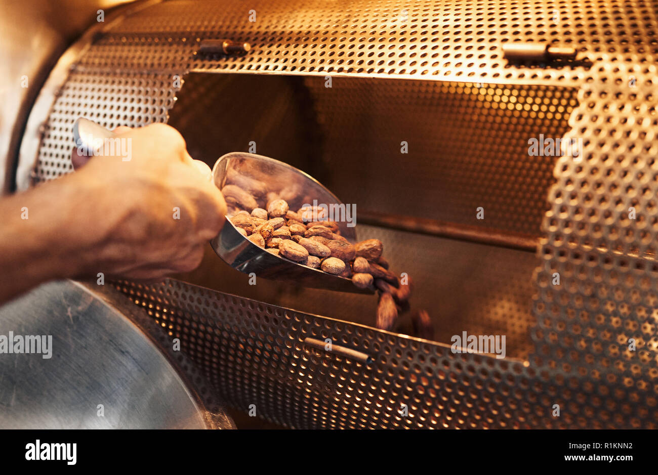 Chocolate making factory worker putting cocoa beans in a roaster Stock