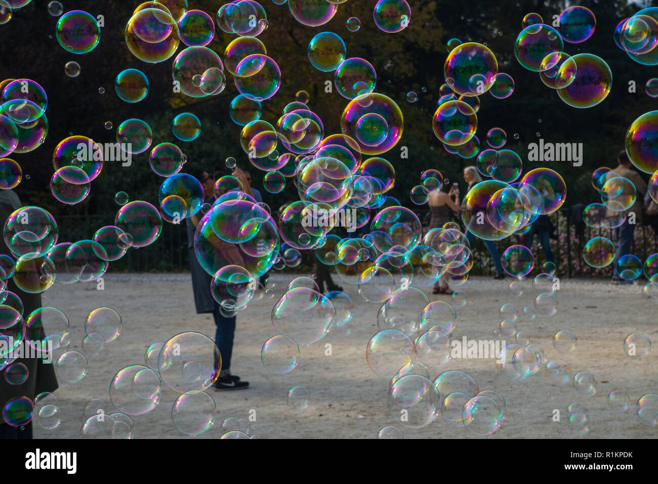 Soap bubbles floating in the air Stock Photo - Alamy