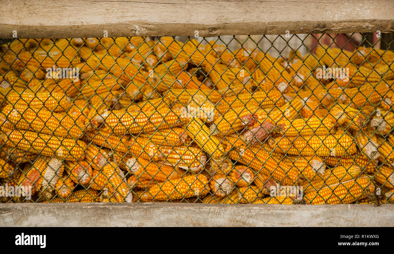Corn crib storage farm hires stock photography and images Alamy