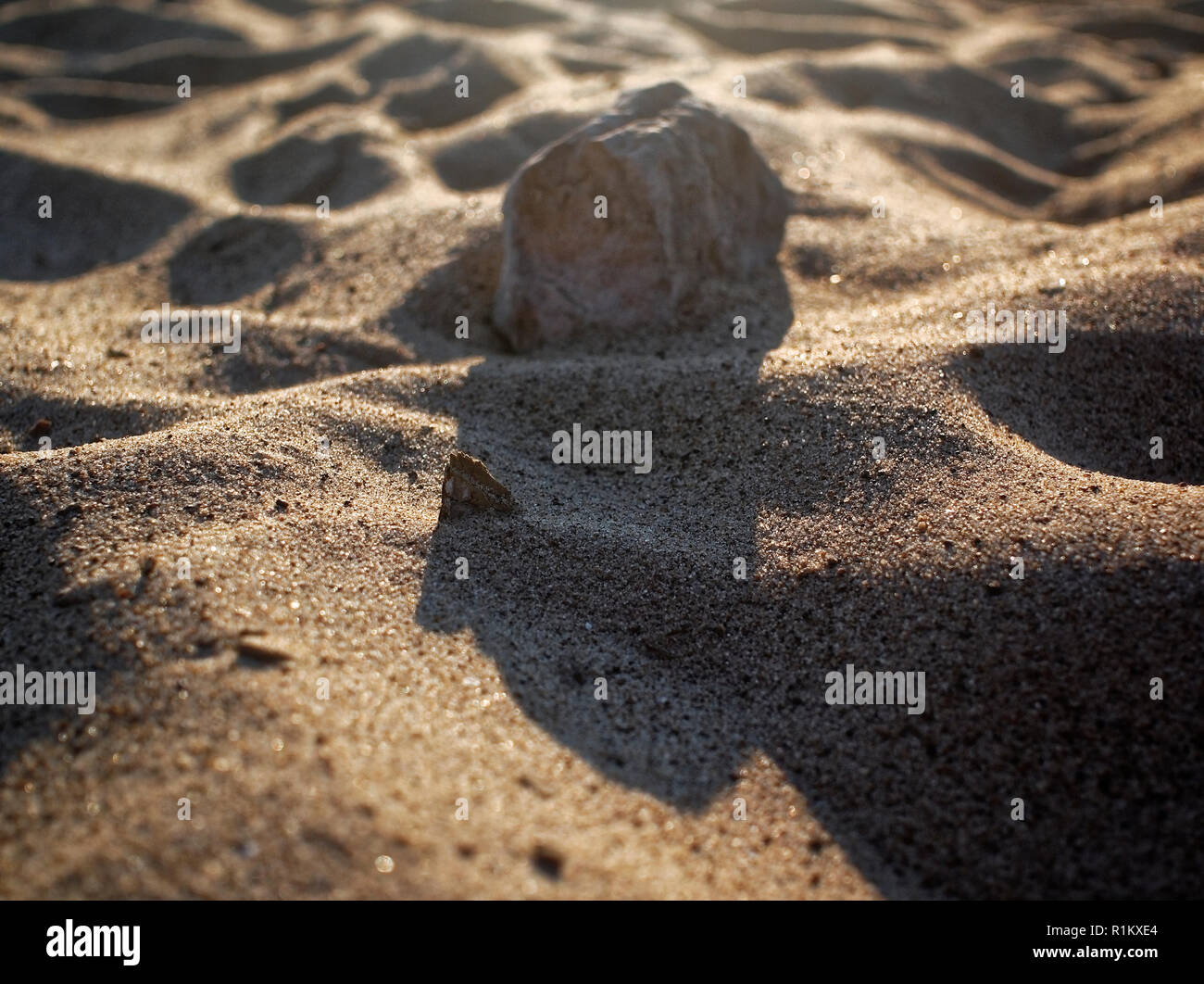 River sand hi-res stock photography and images - Alamy