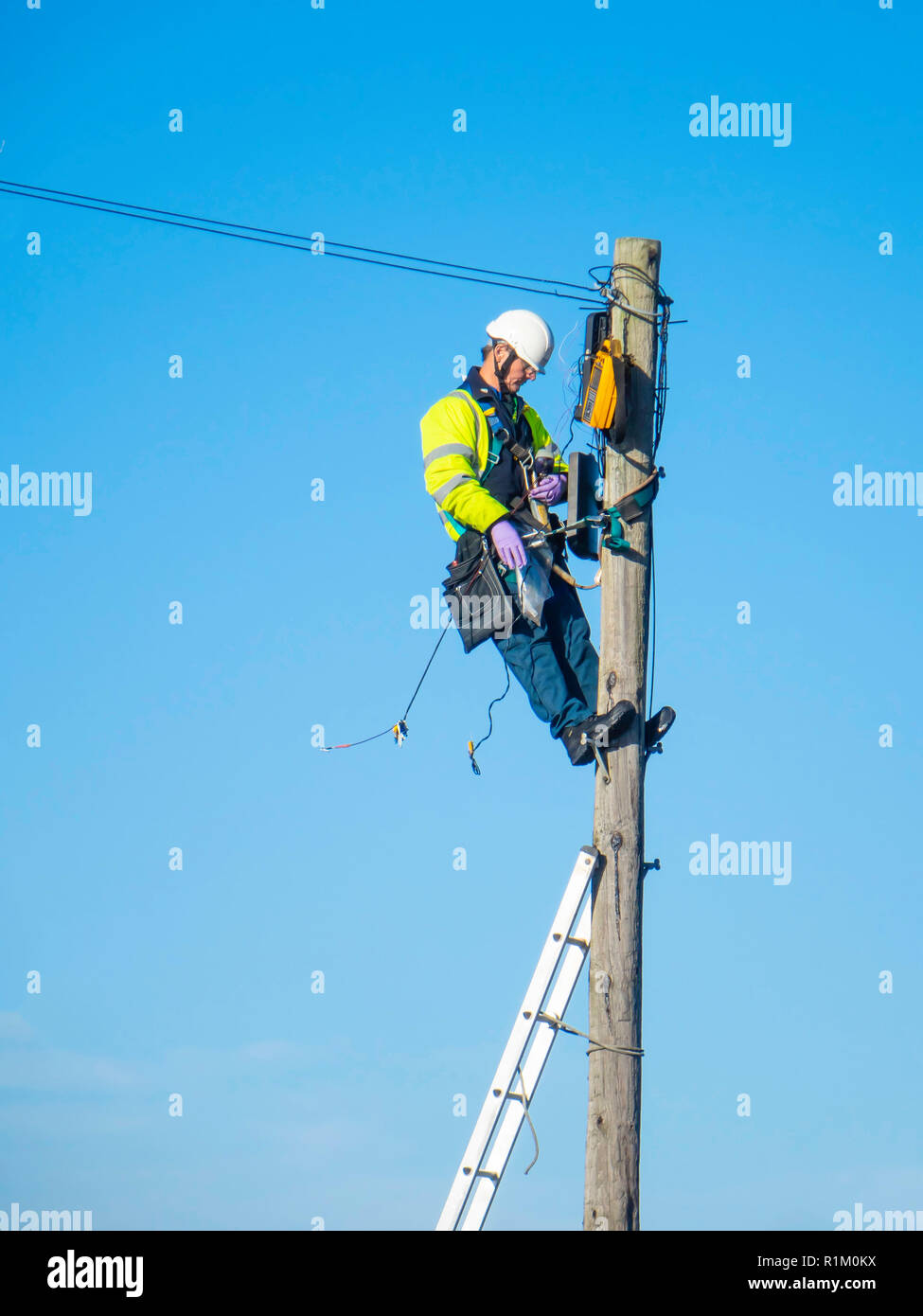 BT Openreach Broadband telecommunications technician working on equipment mounted on a wooden pole Stock Photo