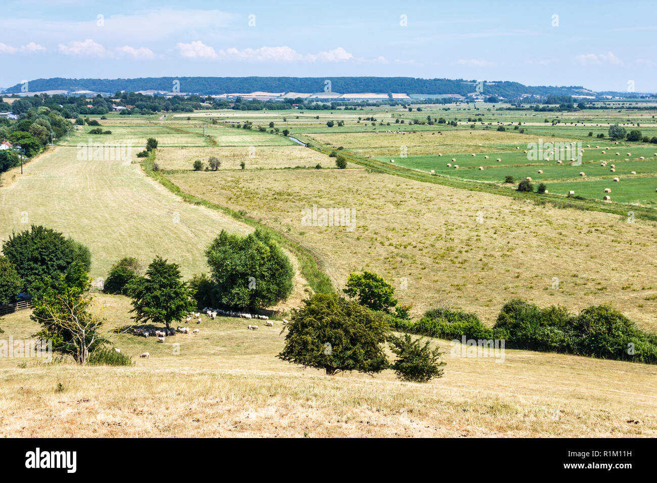 View across the Somerset Levels on a sunny summer afternoon Stock Photo