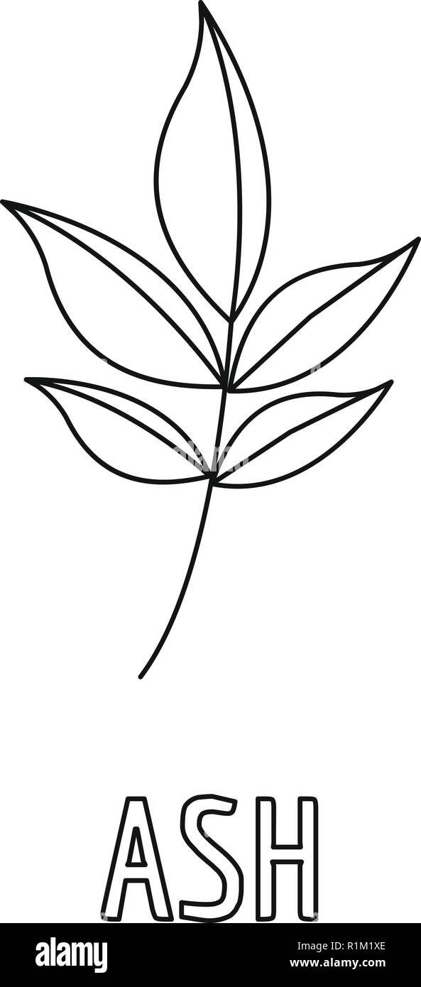 Ash leaf icon. Outline illustration of ash leaf vector icon for web Stock  Vector Image & Art - Alamy