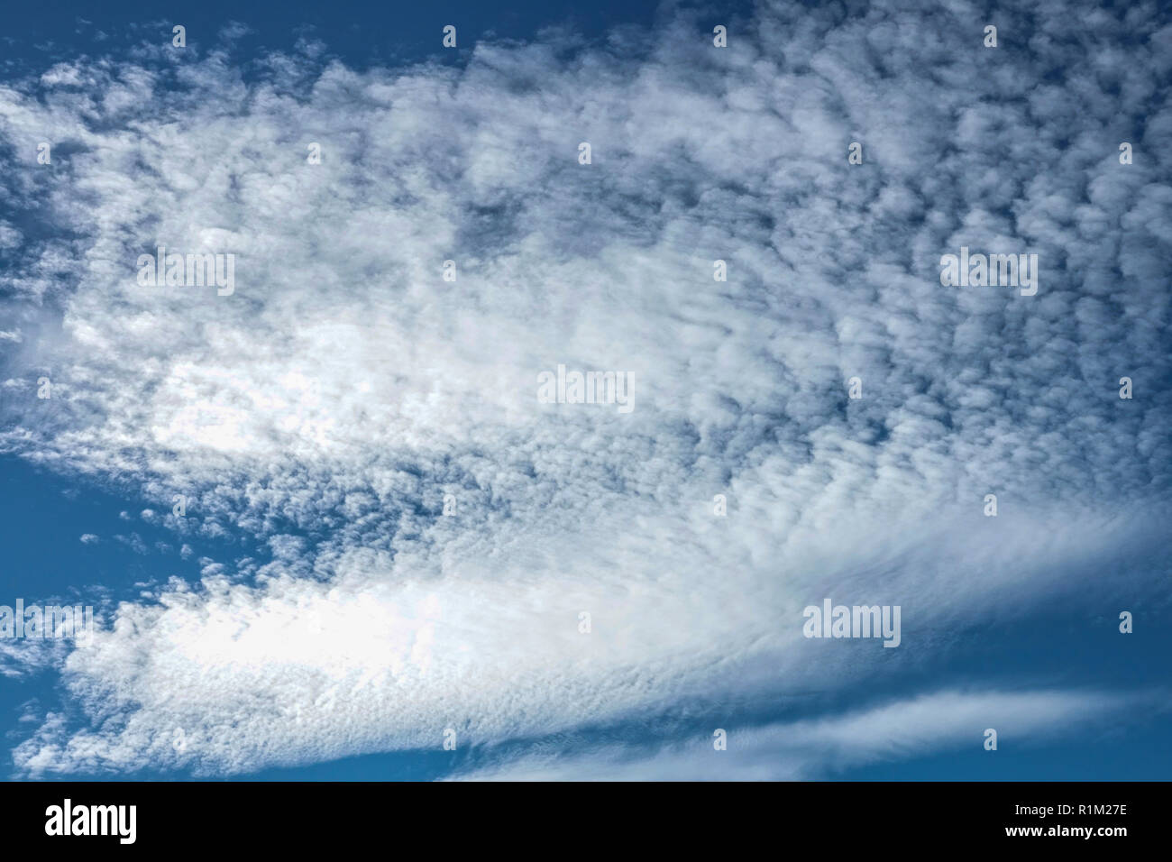 Altocumulus clouds on blue sky look like a whale in the high sky Stock Photo