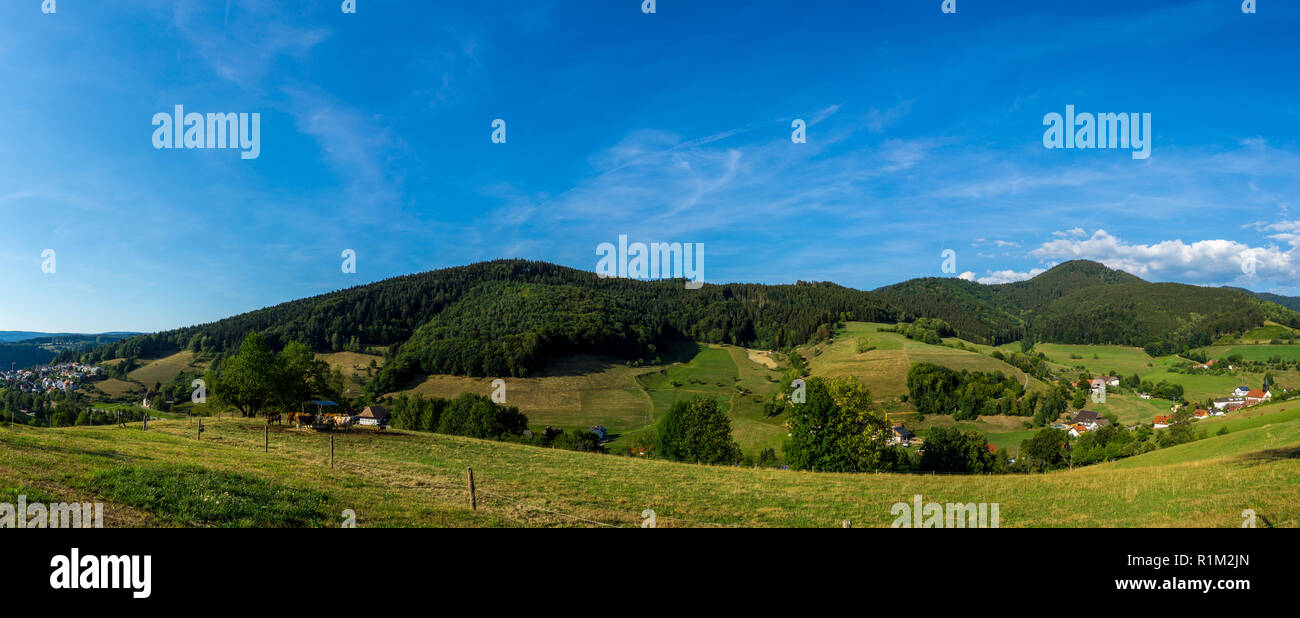 Germany, XXL panorama of paradise like black forest nature landscape in warm afternoon sun light Stock Photo