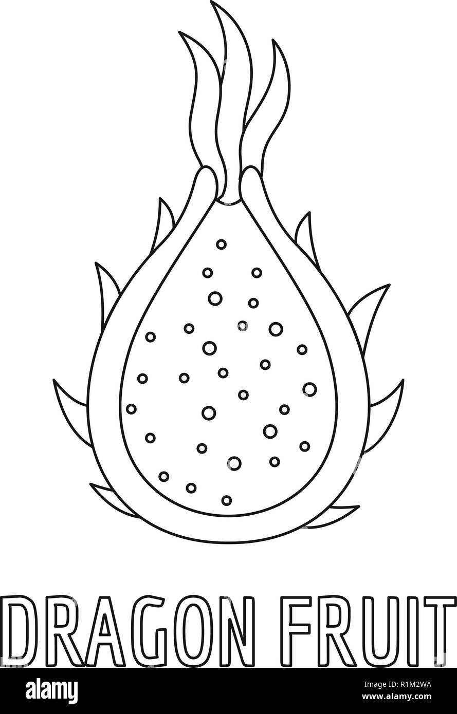 Dragon fruit icon. Outline illustration of dragon fruit vector icon for