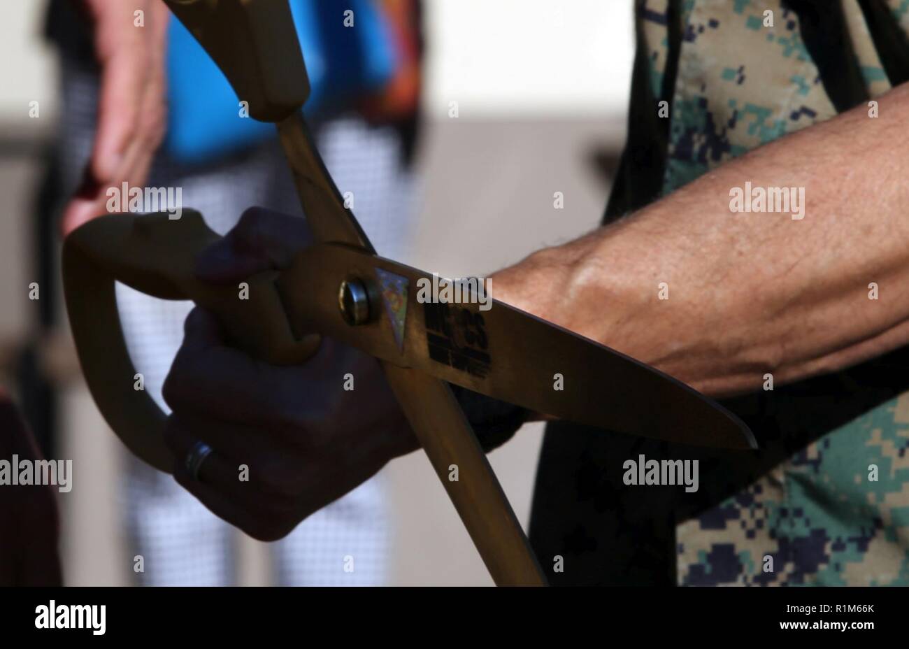 Col. Charles Dockery, commanding officer of Marine Corps Air Station