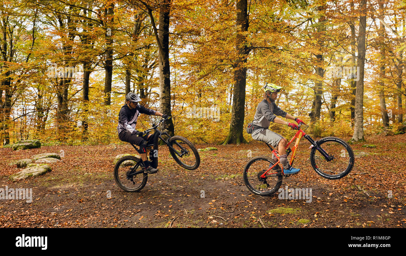 Soriano del Cimino (VT), Italy - 11 November 2018: two guys on a mountain  bike ride a trail in the beech forest, lifting the bicycle on a single  wheel Stock Photo - Alamy