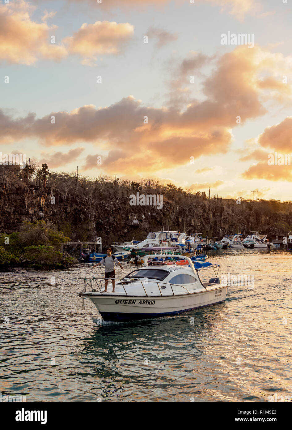 Port in Puerto Ayora at sunset, Santa Cruz or Indefatigable Island, Galapagos, Ecuador Stock Photo