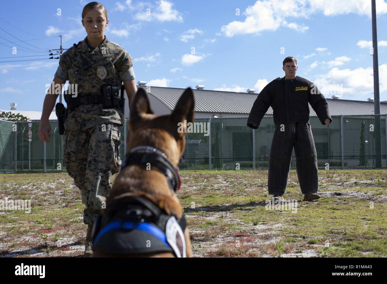 u s marine corps lance cpl angela cardone left a military marine dog handlers