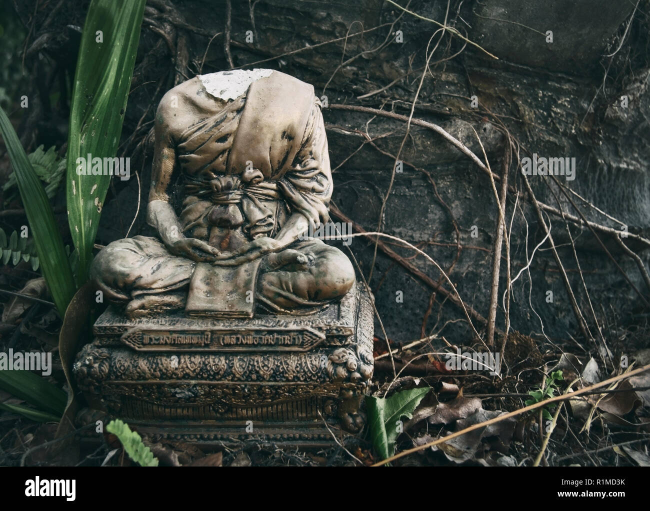 Brainless High Resolution Stock Photography and Images - Alamy