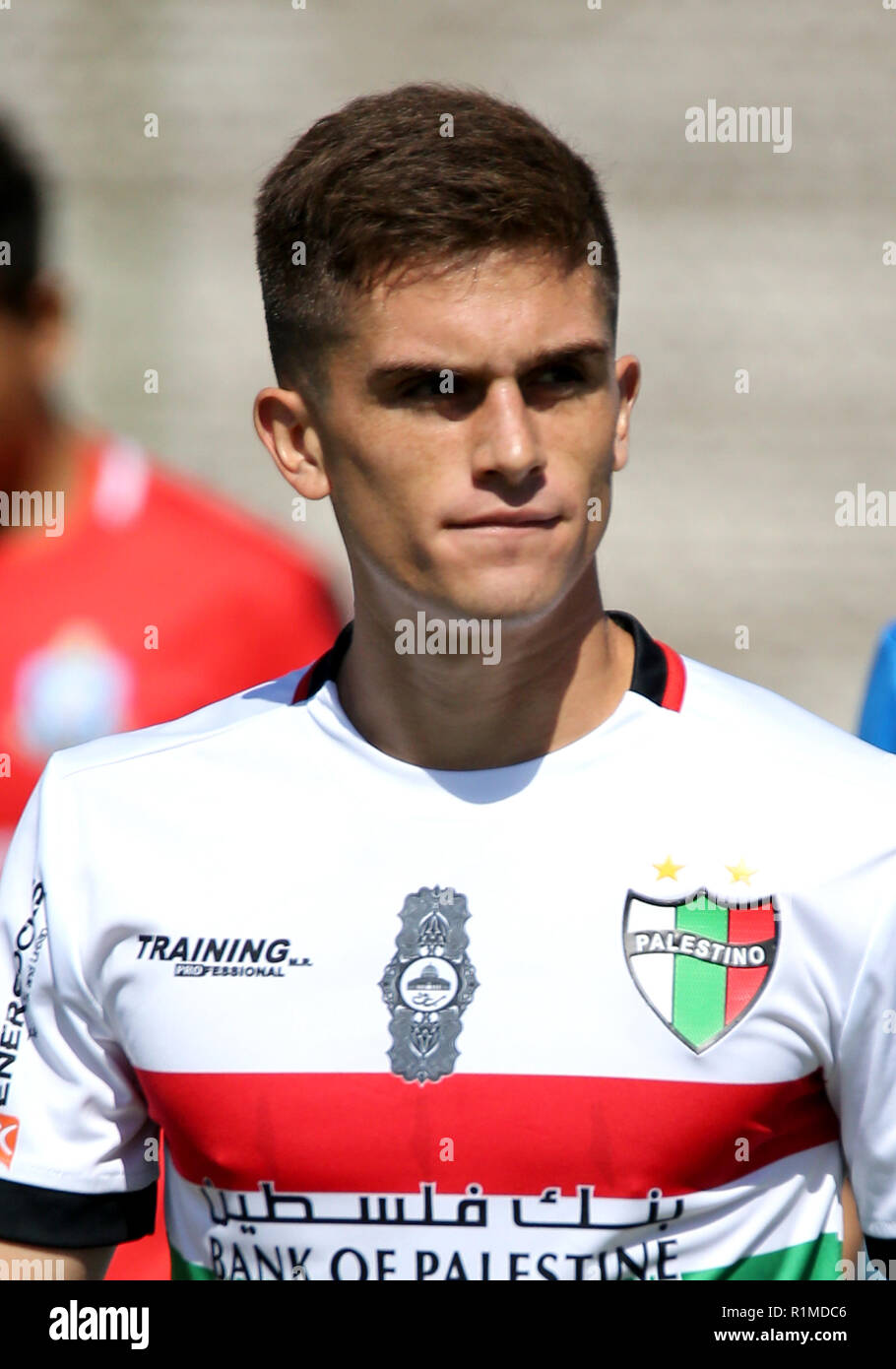 Chile League - Scotiabank 1 Division 2018 / ( C.D. Palestino ) - Guillermo  Tomas Soto Stock Photo - Alamy