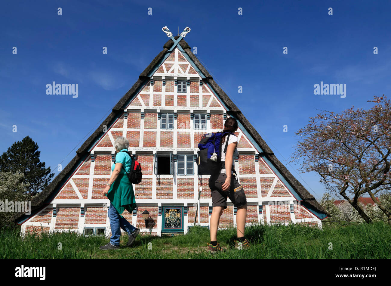 Hiker in front of an Old Farmhouse at Este-dike, Jork-Koenigreich, Altes Land, Lower Saxony, Germany, Europe Stock Photo