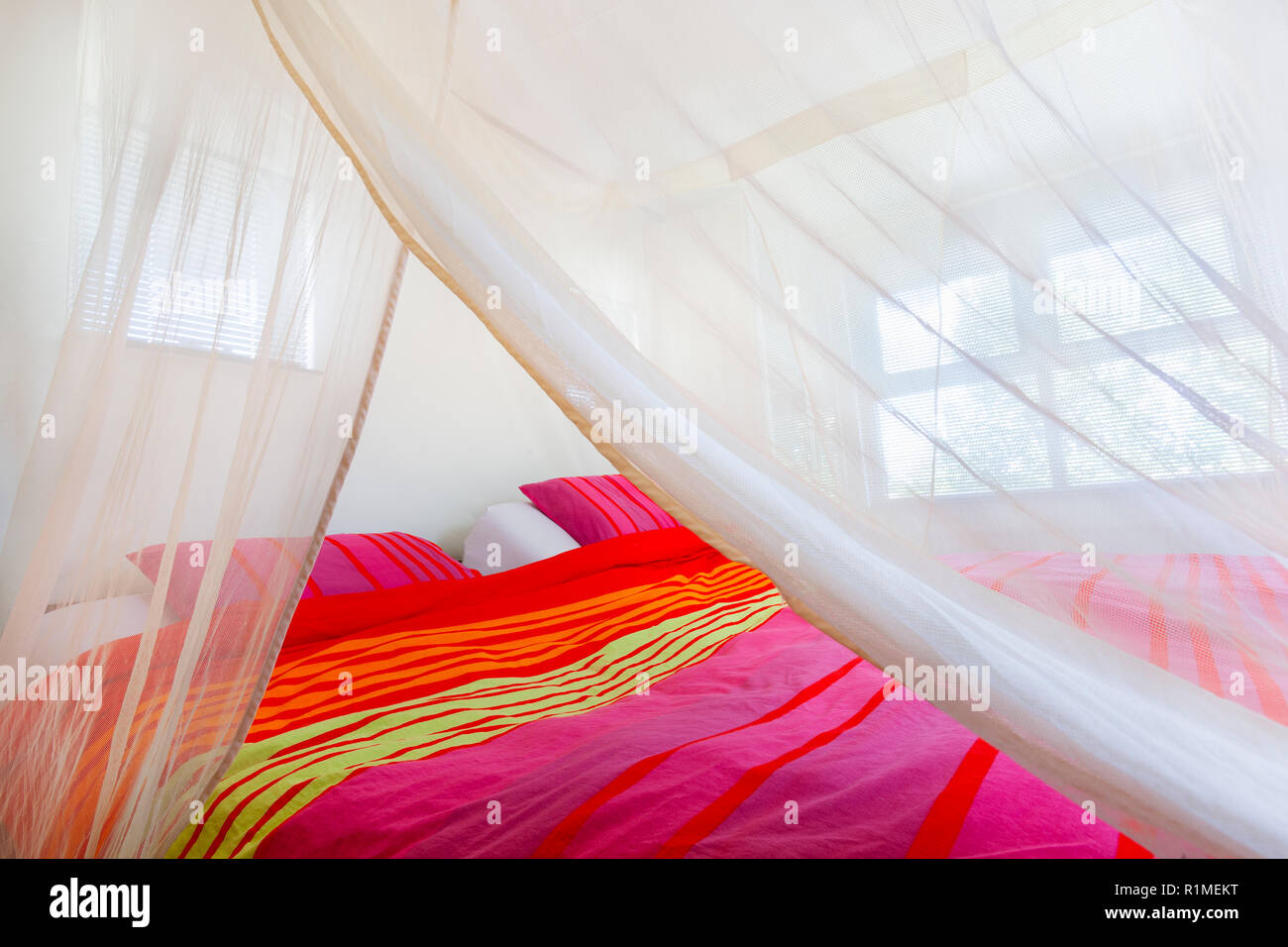 Net protection mosquito net hi-res stock photography and images - Page 3 -  Alamy