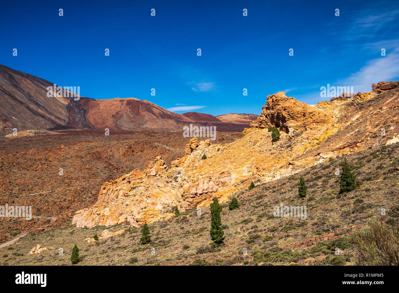 Canary pine trees, pinus canariensis and volcanic rock formations on the slopes of Guajara in the Las Canadas del Teide National Park, Tenerife, Canar Stock Photo