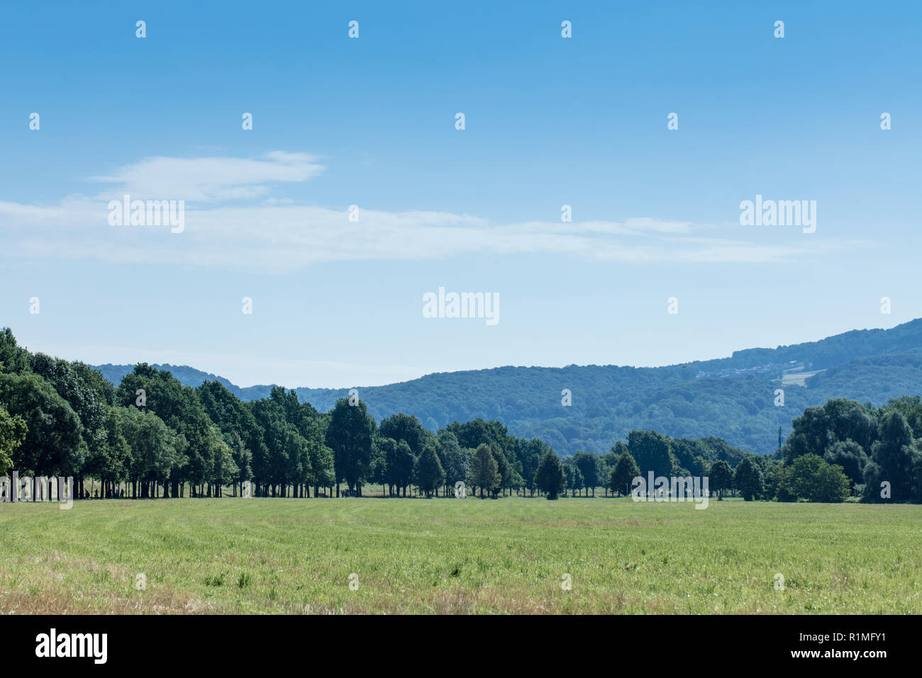 Fields and trees at the Danube river in Linz, Upper Austria Stock Photo