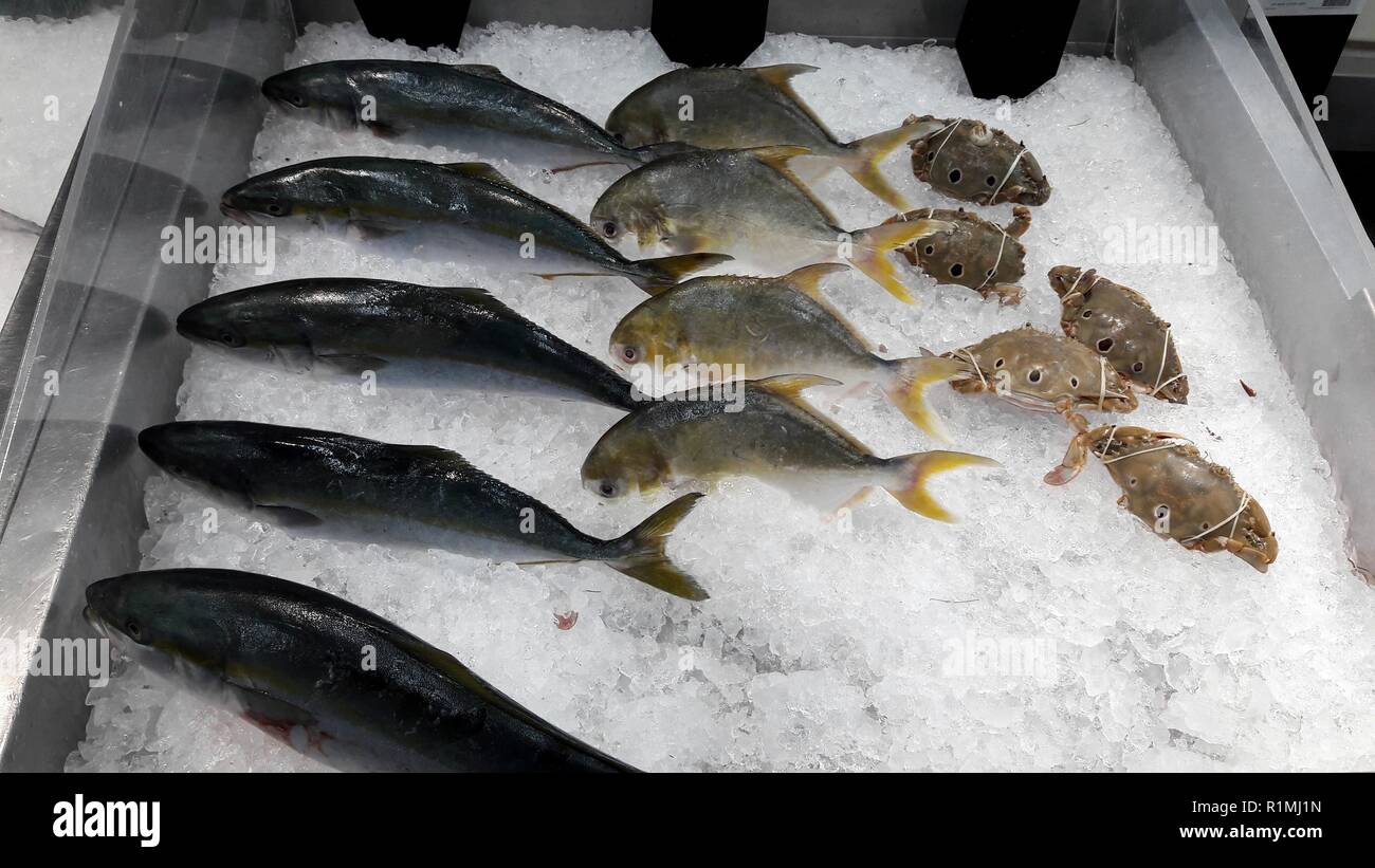 beautiful picture o f Yellow Tailed Fish,Golden Pomfrets and three-spot swimming crab (Portunus sanguinolentus) in Thai market Stock Photo