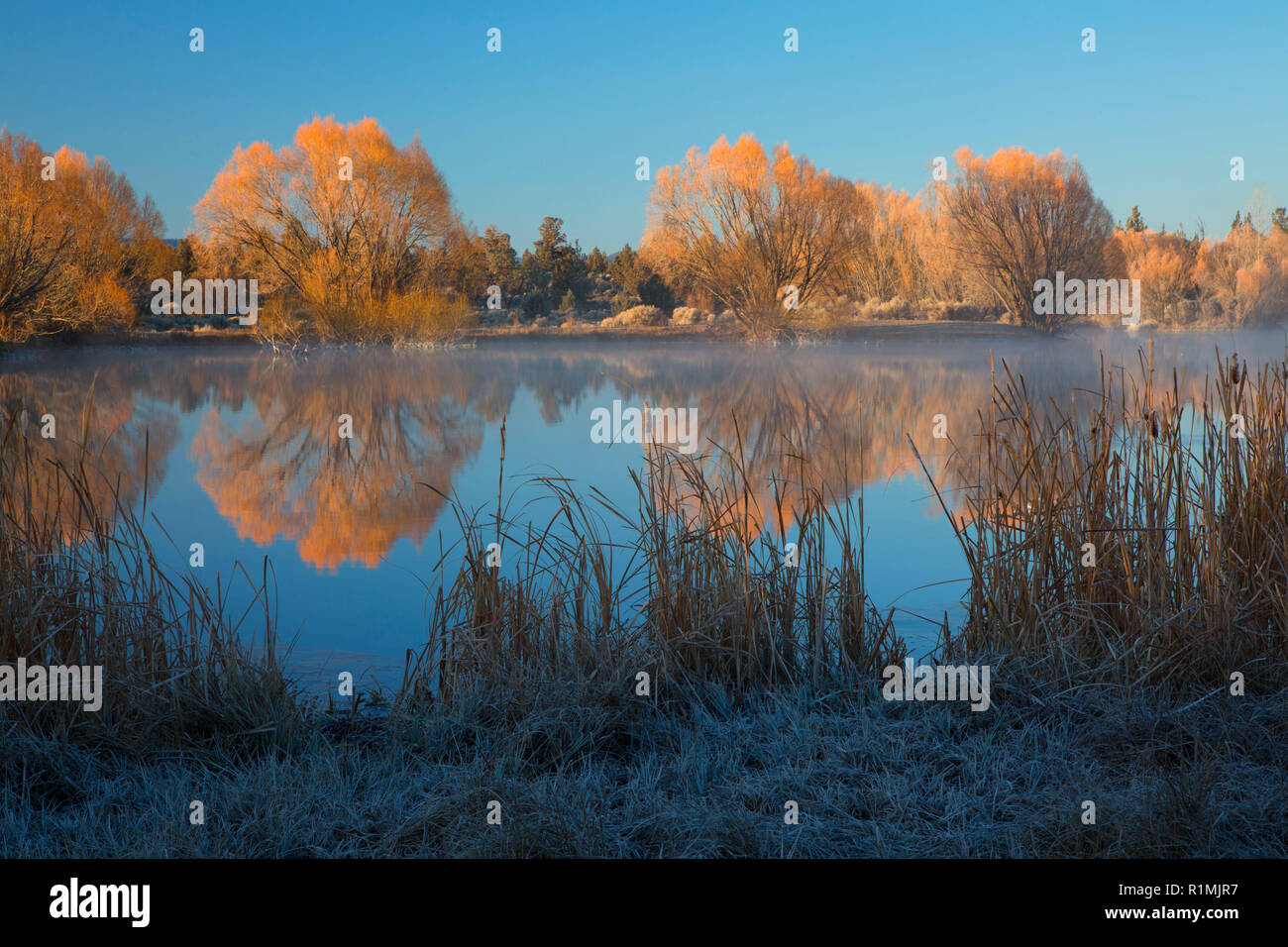 Reynolds Pond, Prineville District Bureau of Land Management, Oregon