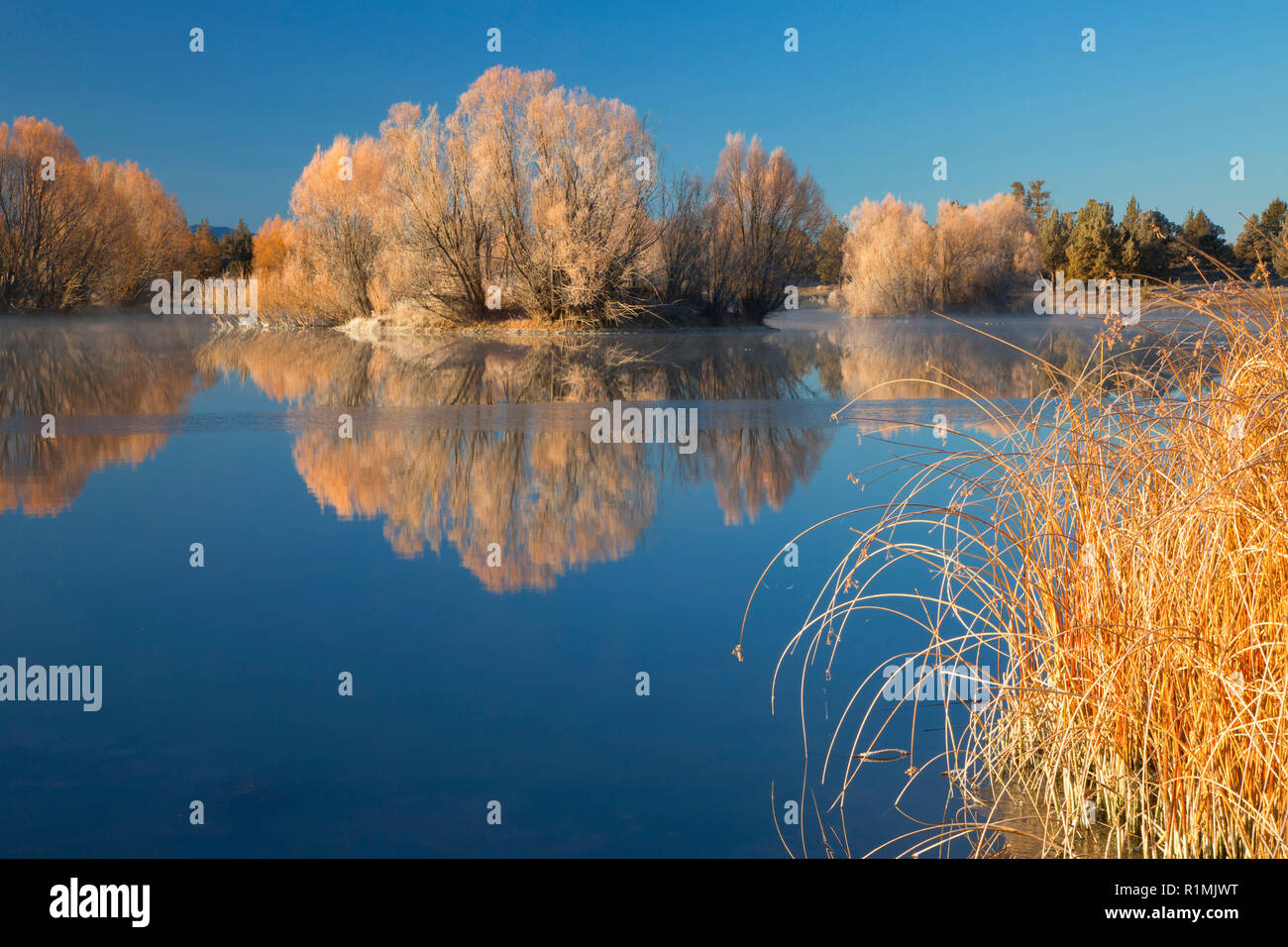 Reynolds Pond, Prineville District Bureau of Land Management, Oregon Stock Photo Alamy