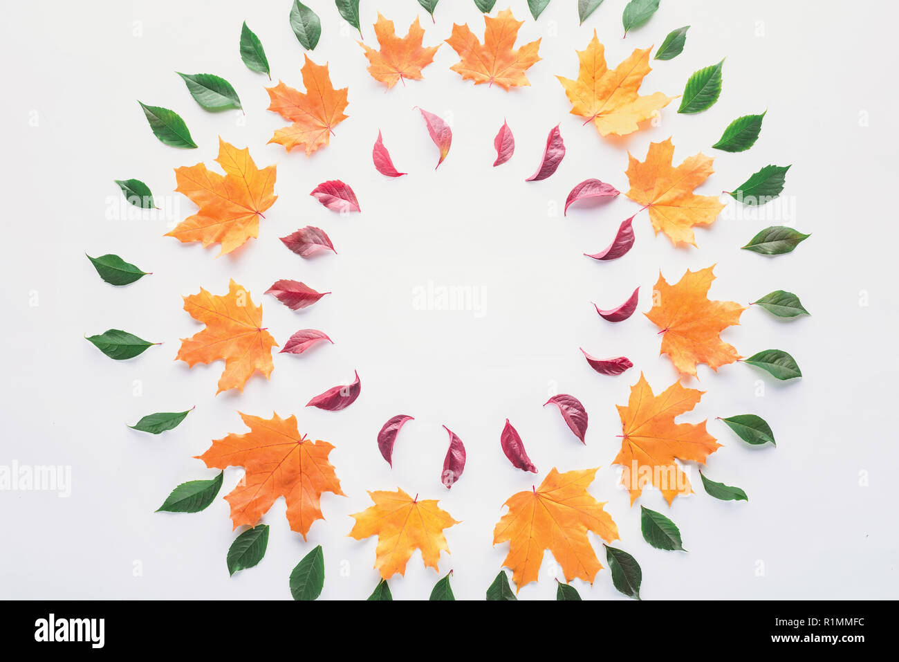 flat lay of circles of burgundy, green and orange leaves isolated on white Stock Photo