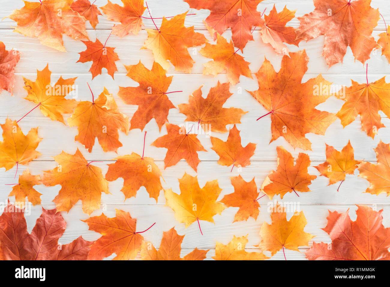 top view of orange autumnal maple leaves on wooden surface Stock Photo