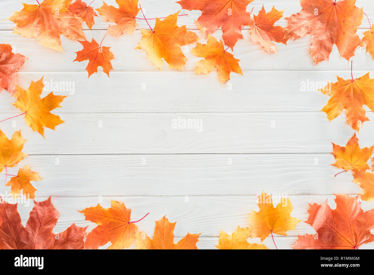 top view of frame of orange autumnal maple leaves on wooden surface Stock Photo