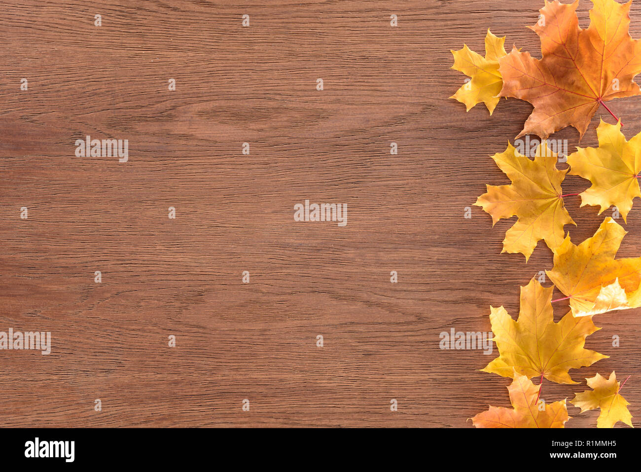 top view of yellow autumnal maple leaves on brown wooden surface Stock Photo