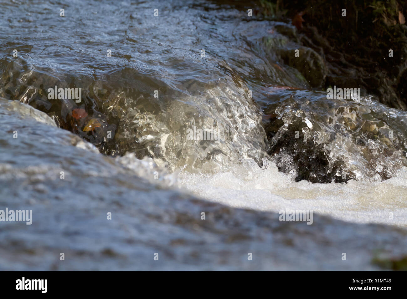 Water levels start to recede after recent flooding in Cenarth Falls ...