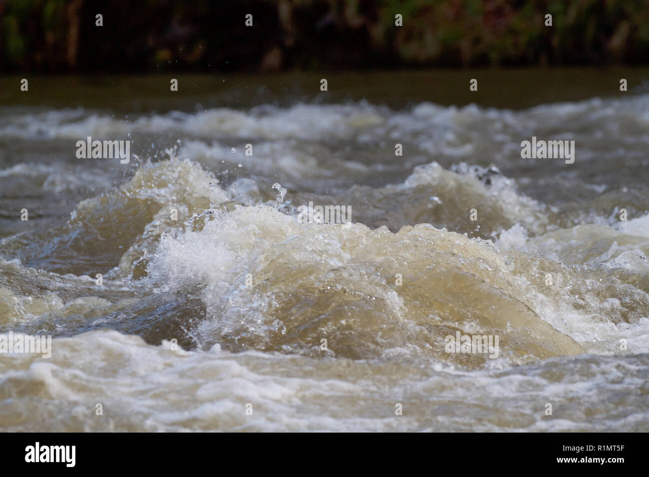 Water levels start to recede after recent flooding in Cenarth Falls ...