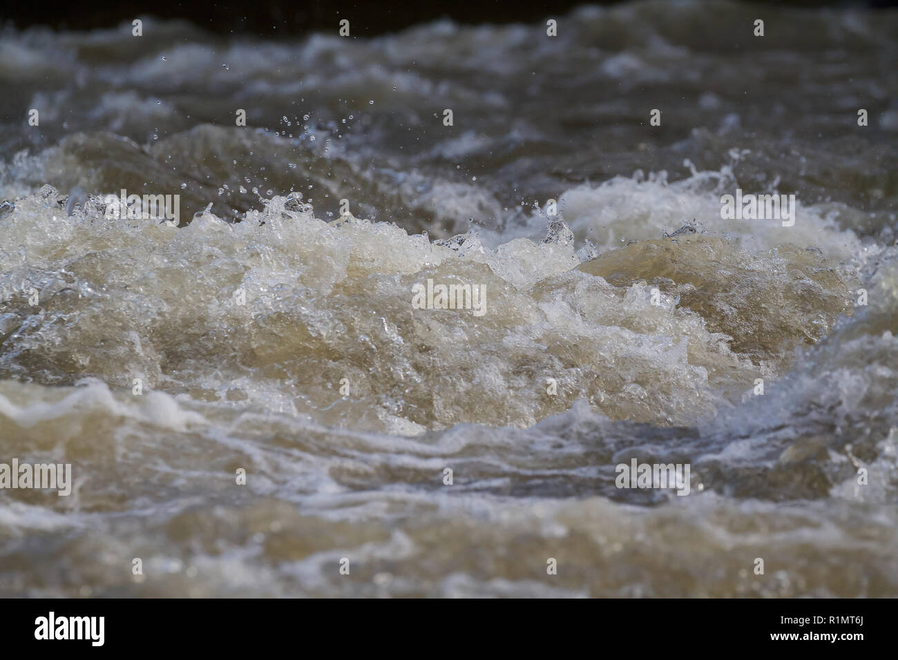 Water levels start to recede after recent flooding in Cenarth Falls ...