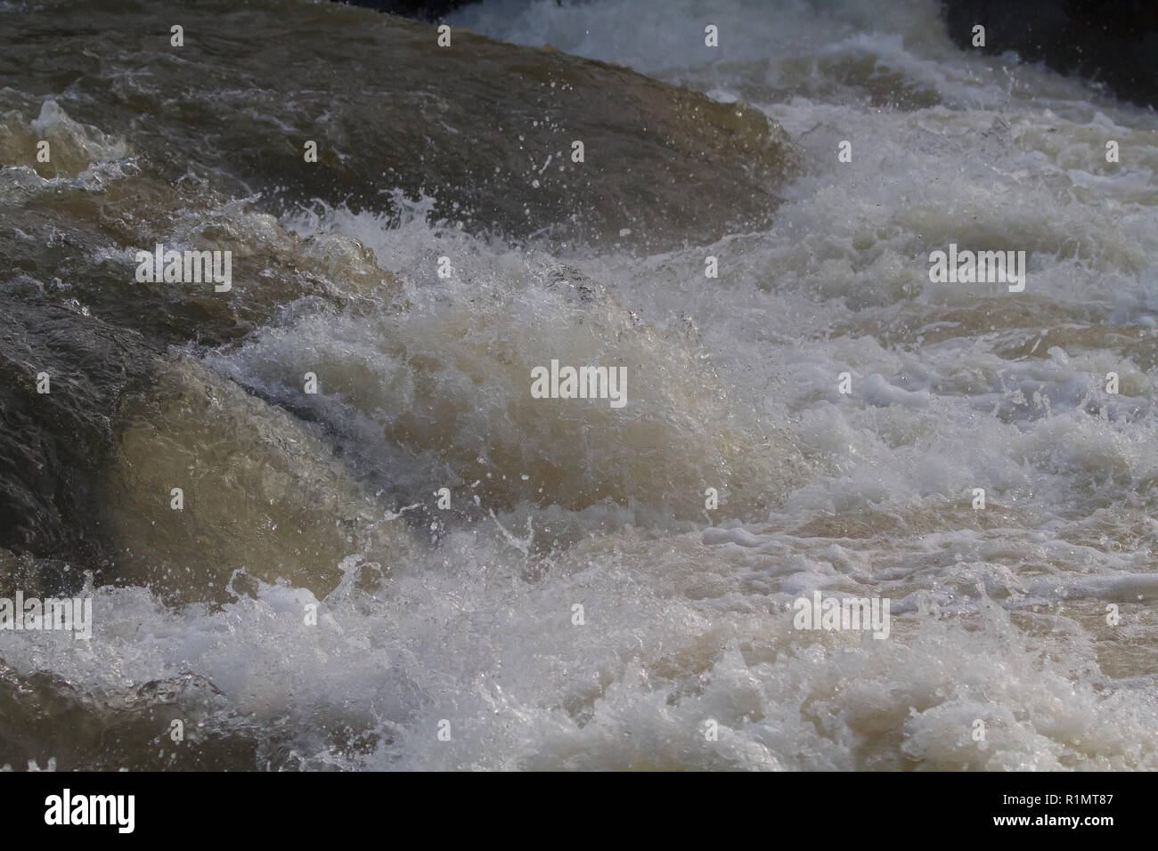 Water levels start to recede after recent flooding in Cenarth Falls ...