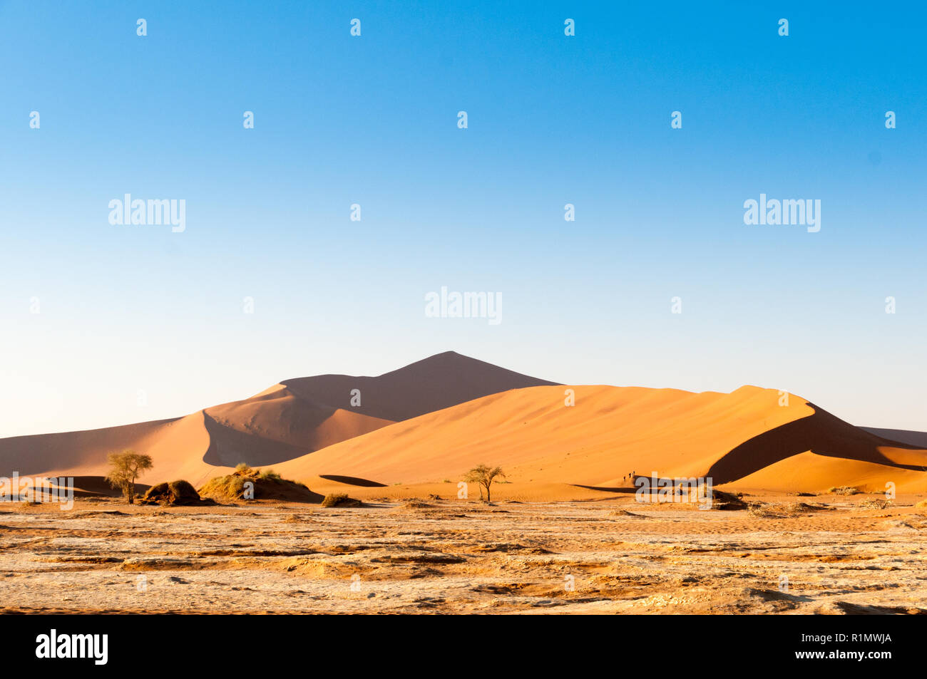 Biggest Dune in the World Stock Photo Alamy