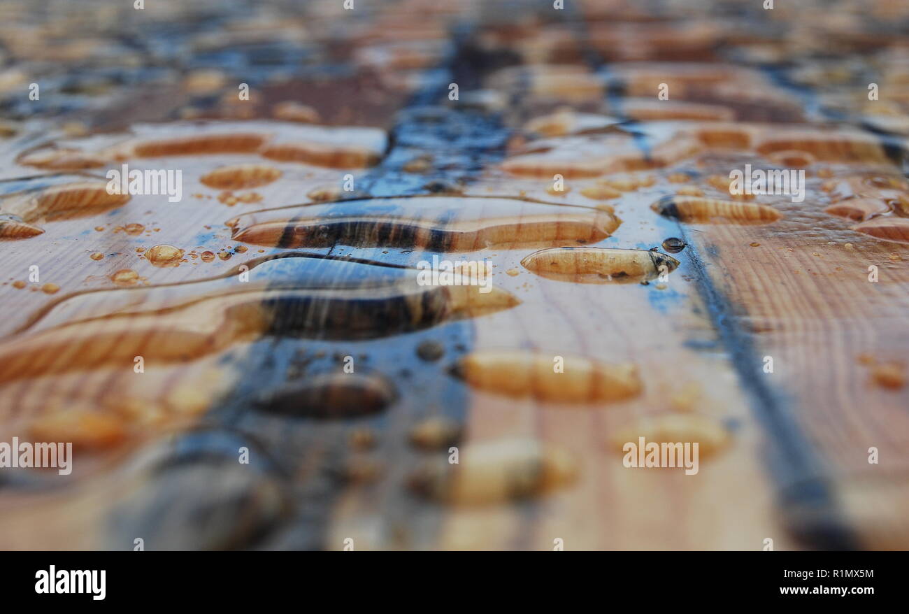 Large water drops on a wooden table Stock Photo