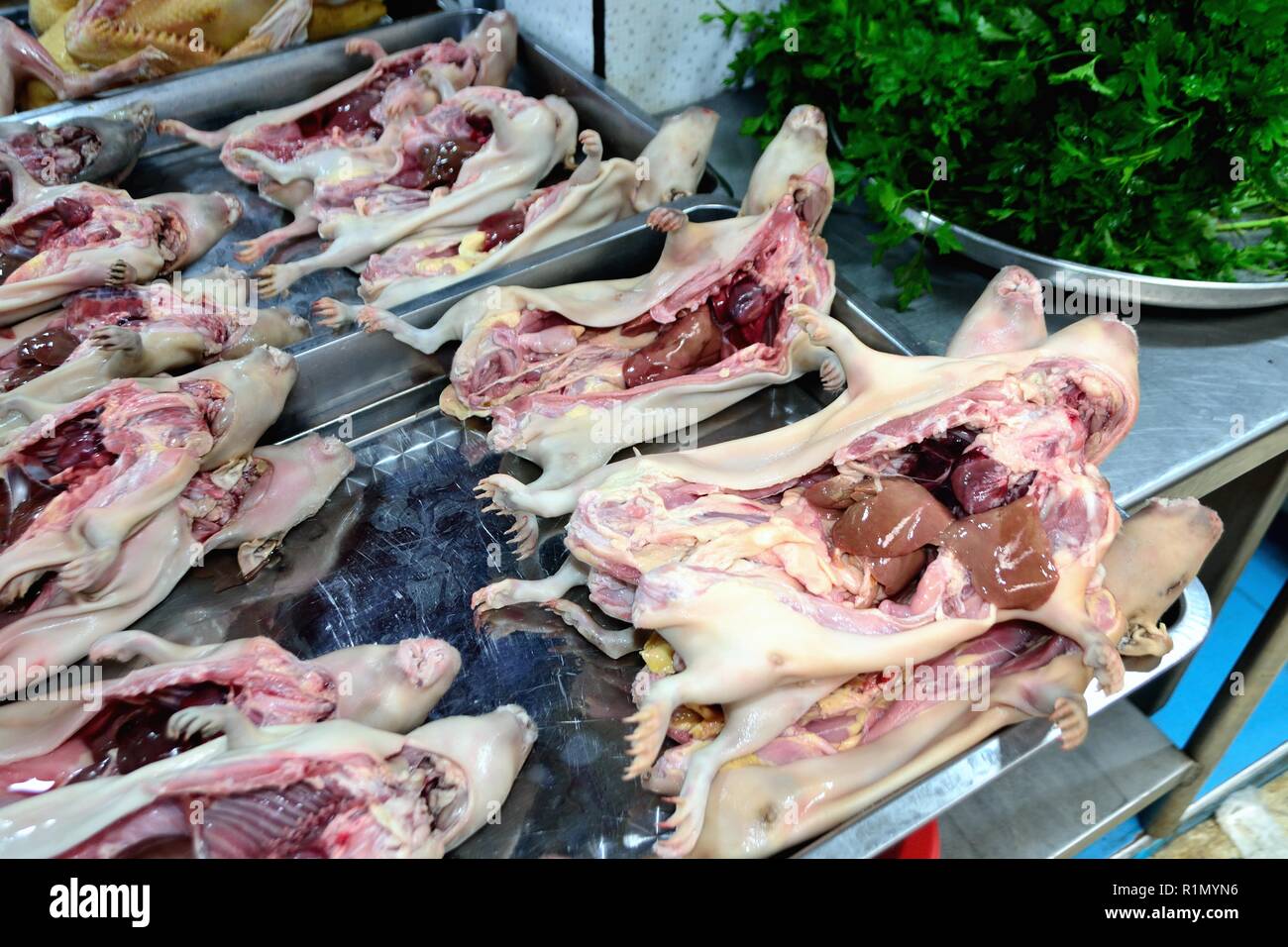 Selling Guinea pig Market in HUARAZ. Department of Ancash.PERU