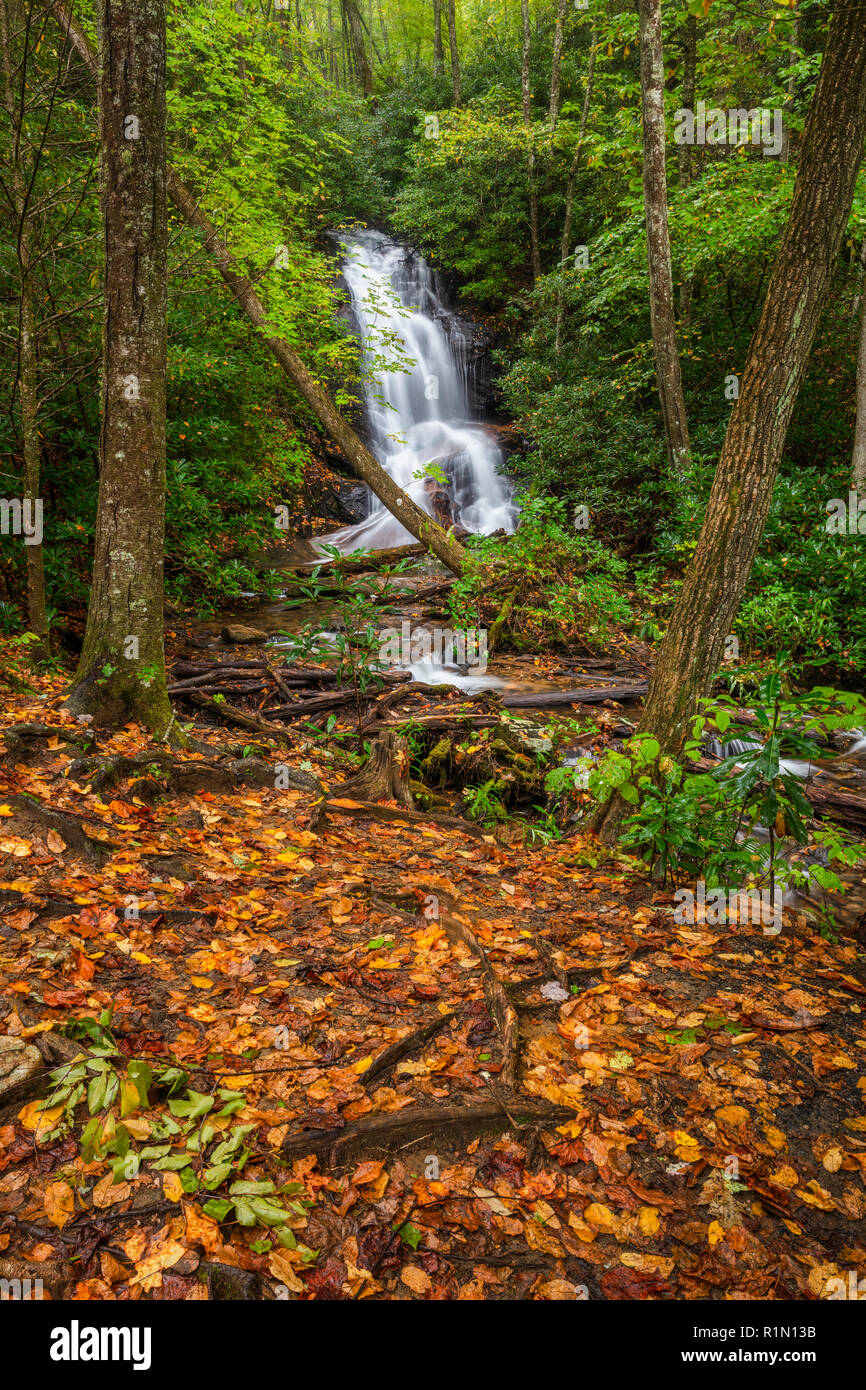 Log Hollow Falls in autumn, Pisgah National Forest, Brevard, North