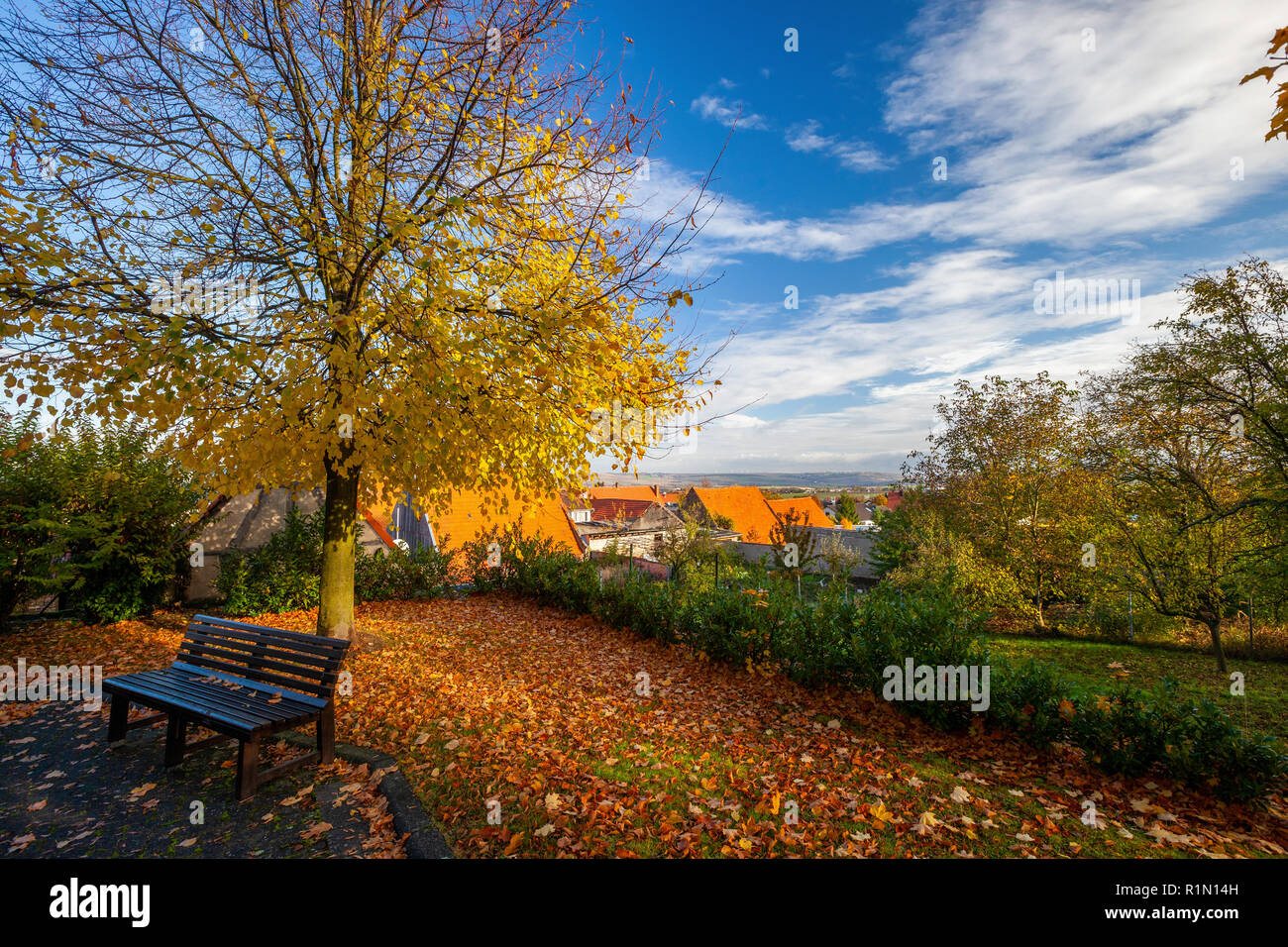See fall foliage germany hires stock photography and images Alamy