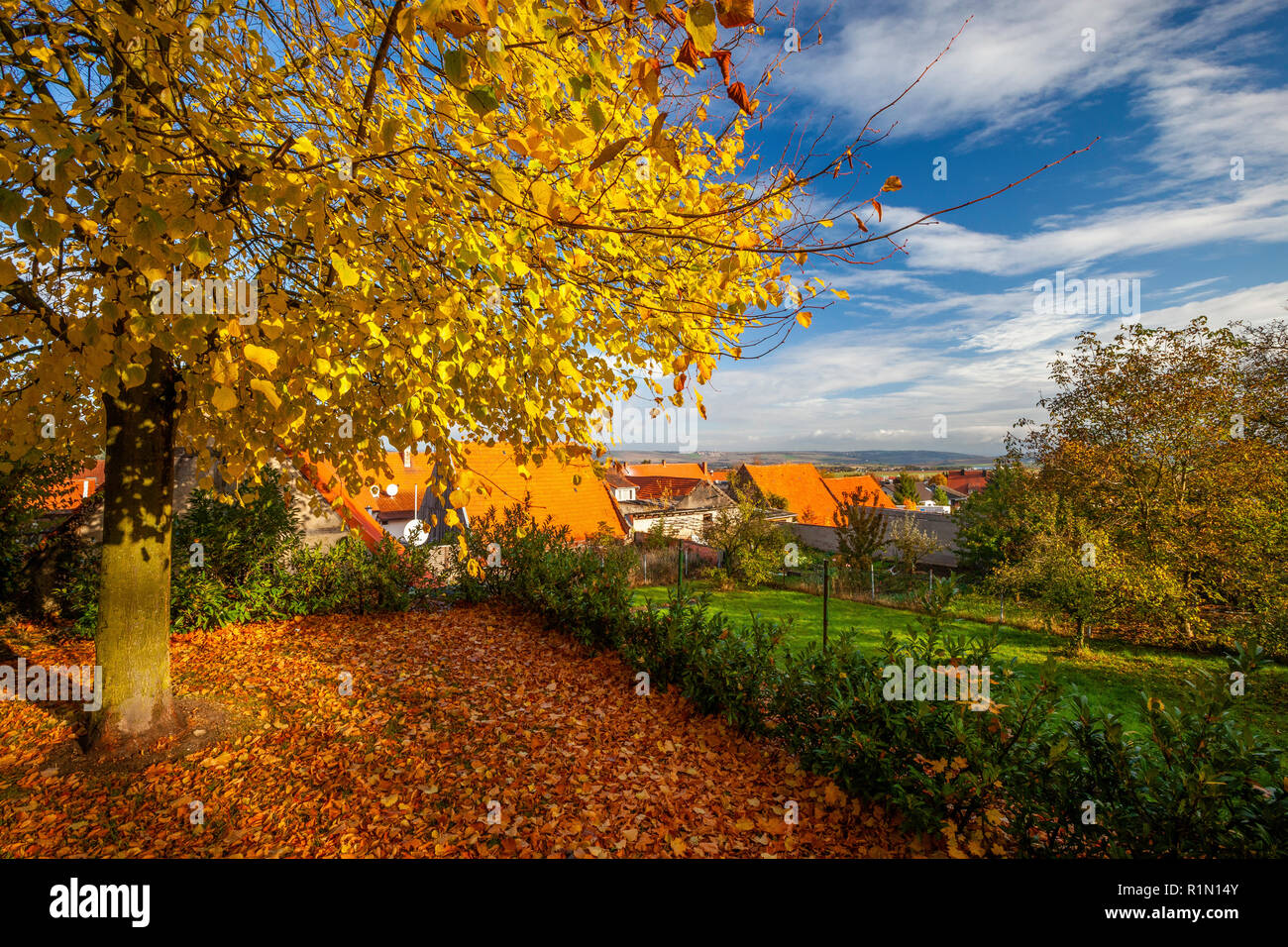See fall foliage germany hires stock photography and images Alamy