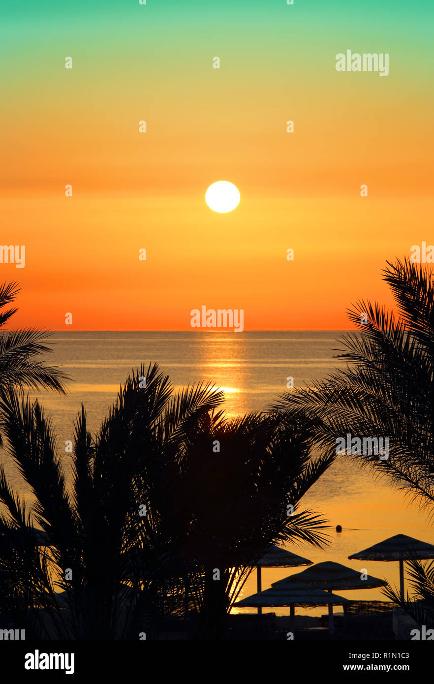 palms and sunrise over sea Stock Photo