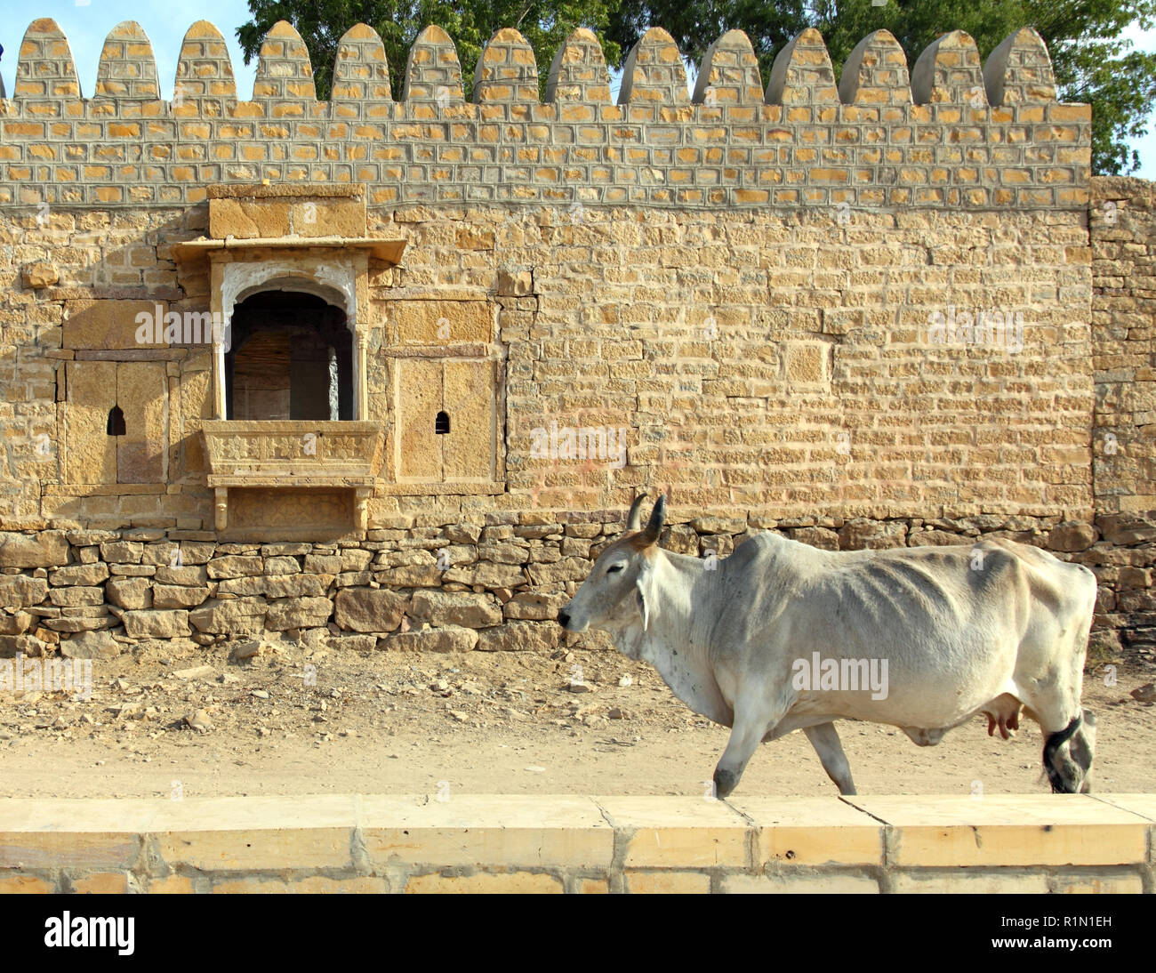 Indian cow on background of ancient building Stock Photo