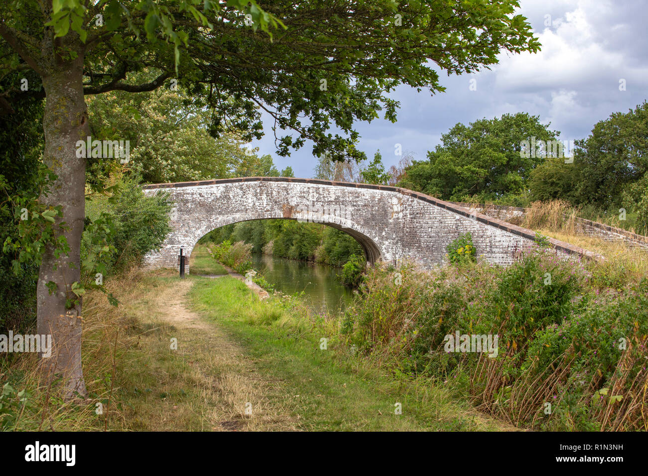 White washed arch bridge over Trent and Mersey Canal in Elworth near Sandbach Cheshire UK Stock Photo