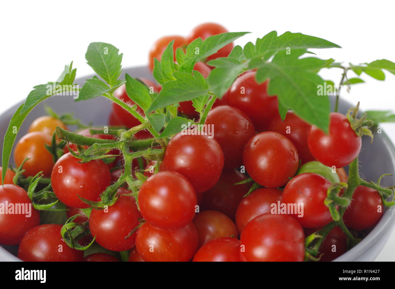 cherry tomatoes in grey plate on white background Stock Photo - Alamy