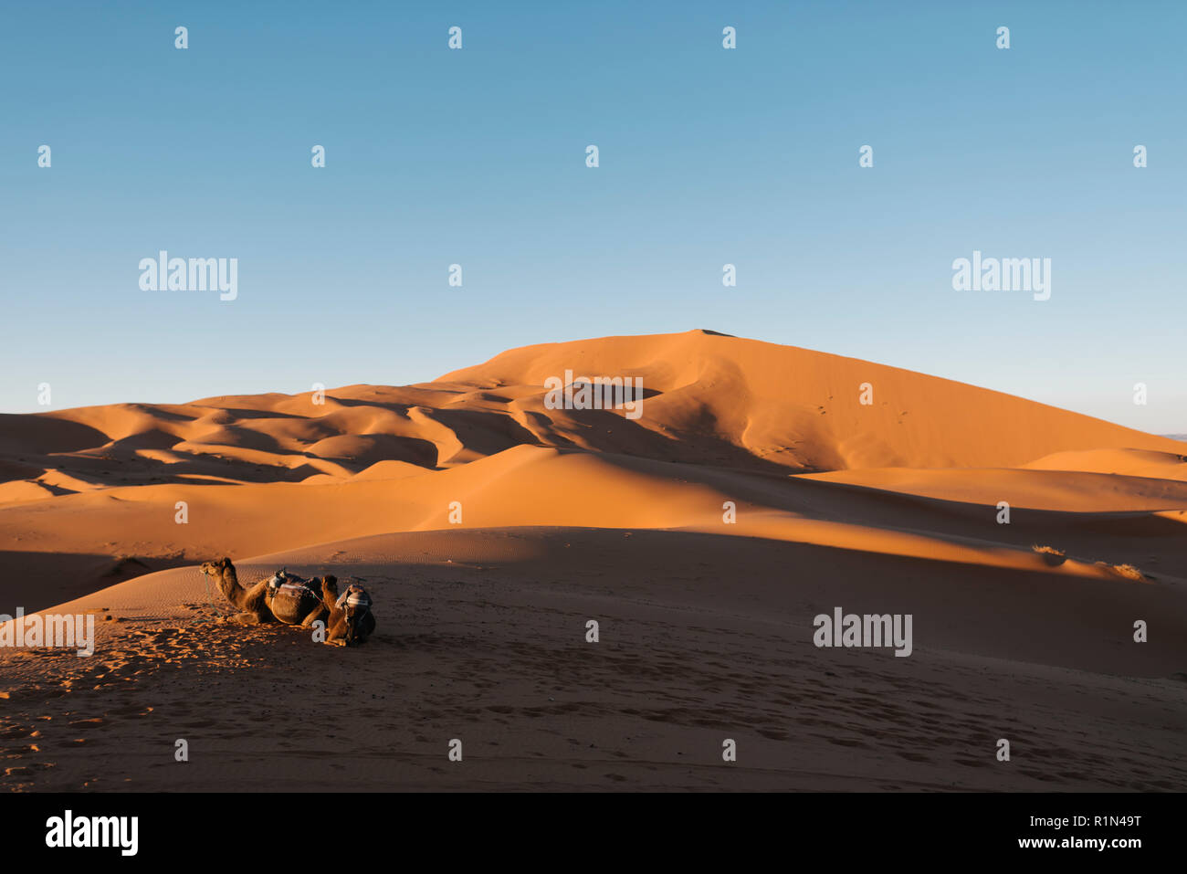 Wüste Marokko Stock Photo