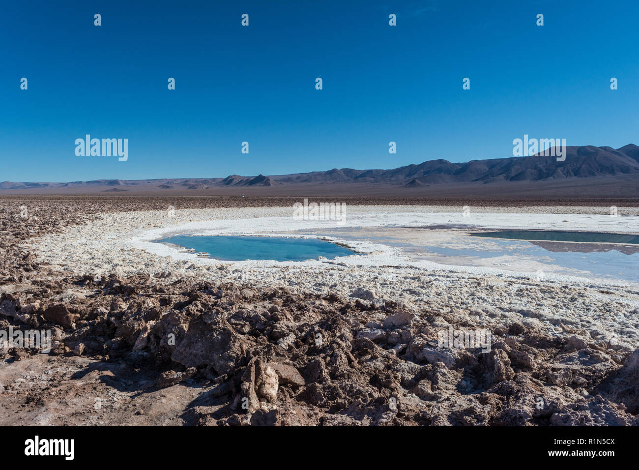 Lagunas Escondidas de Baltinache, amazing blue salty water. Atacama ...
