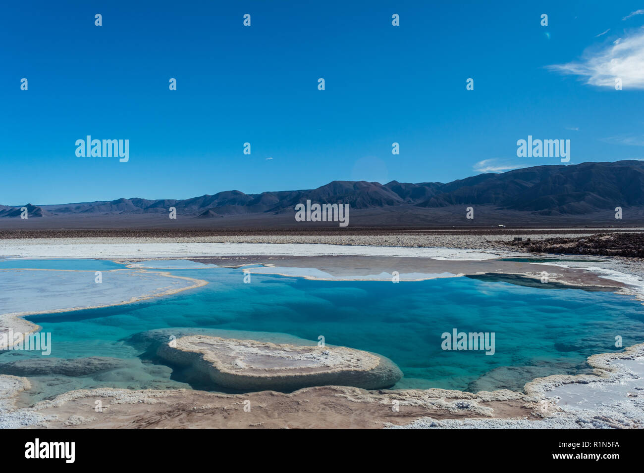 Lagunas Escondidas de Baltinache, amazing blue salty water. Atacama ...