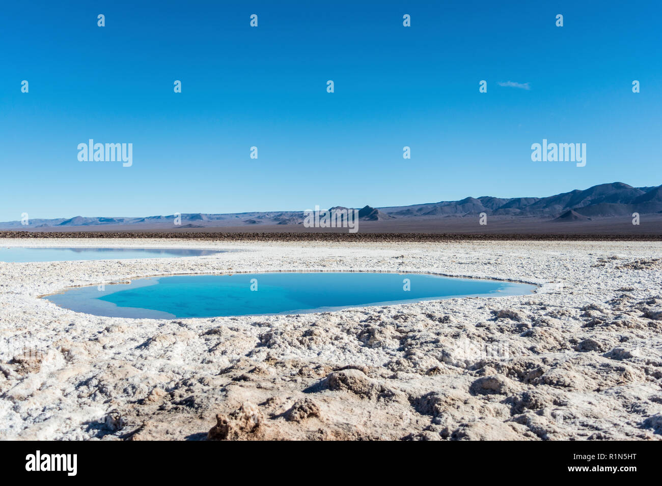 Lagunas Escondidas de Baltinache, amazing blue salty water. Atacama ...