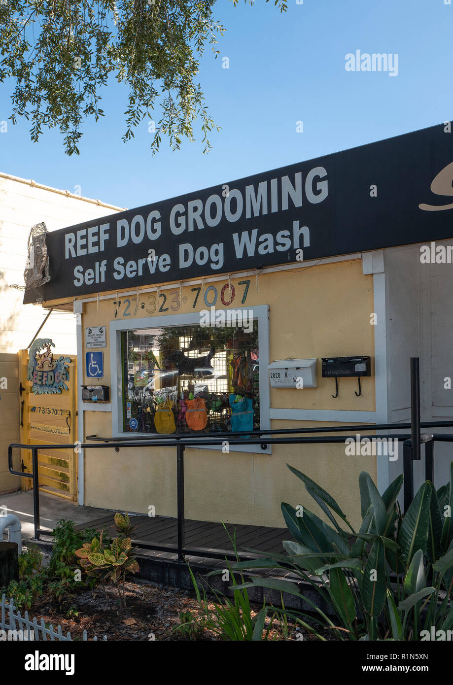 Reef dog grooming hires stock photography and images Alamy