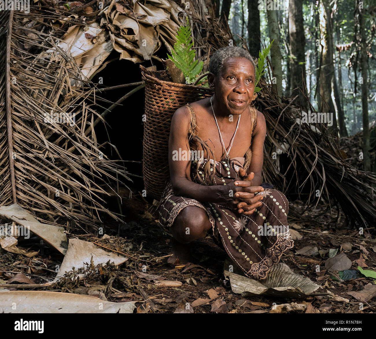 Baka pygmy woman hi-res stock photography and images - Alamy