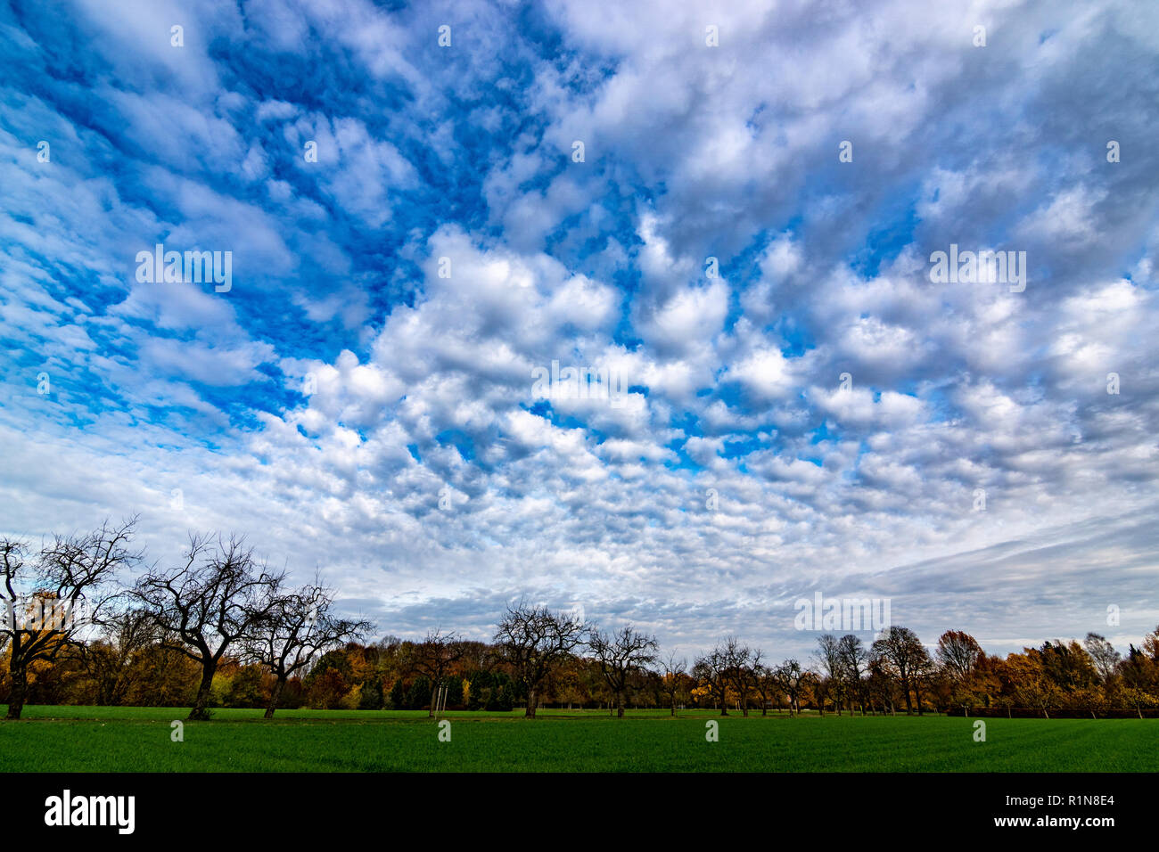 Scenic Blue Sky With White Clouds Wide Angle Dramatic Stock Photo Alamy