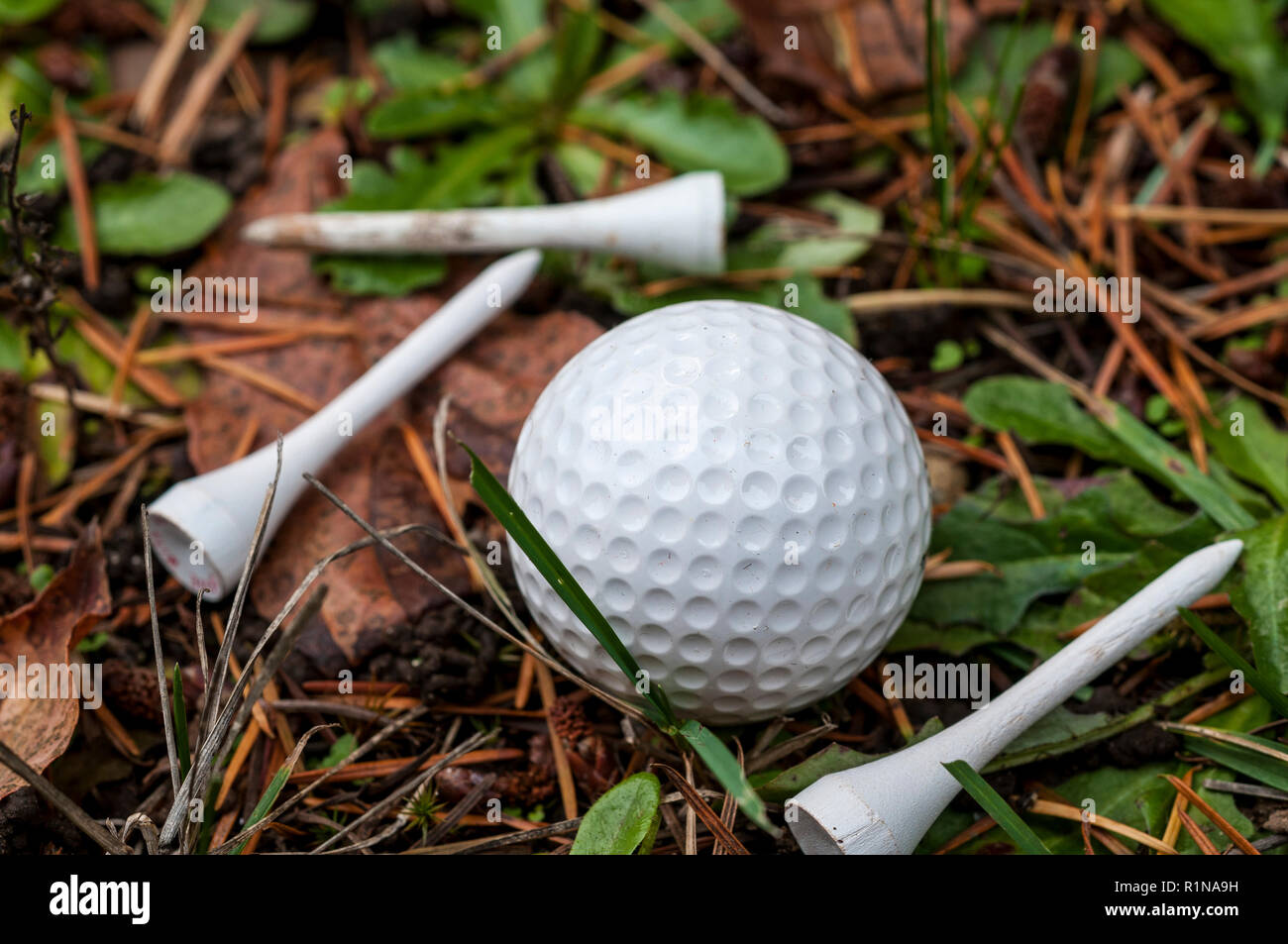 Golf Ball and Tees In The Rough Stock Photo Alamy